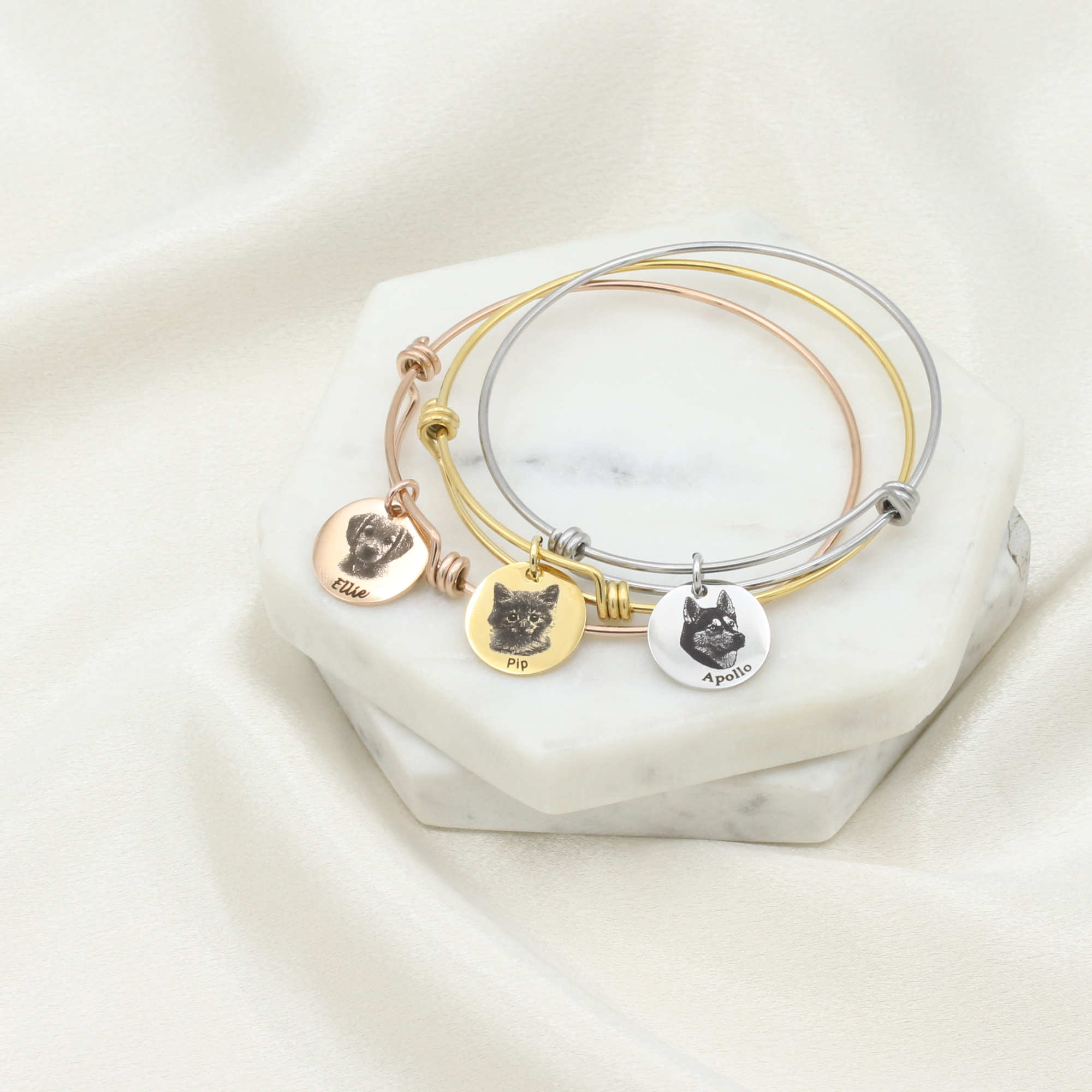 Engraved Pet Portrait Bracelet · Pet Portrait Bangle · Pet Memorial Gifts (FB-54)